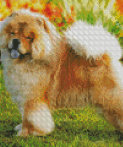 Cute Chow Chow Diamond Paintings