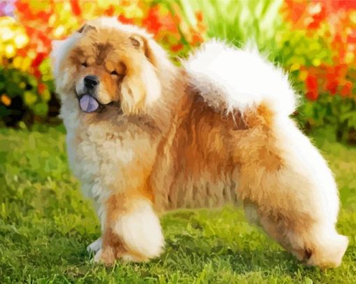 Cute Chow Chow Diamond Paintings