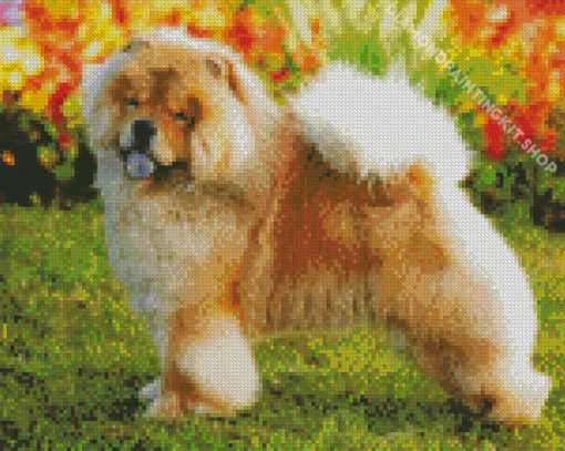 Cute Chow Chow Diamond Paintings