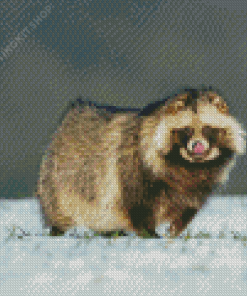 Cute Snow Raccoon Diamond Paintings