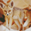 Fennec Fox Baby Diamond Paintings