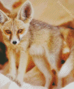 Fennec Fox Baby Diamond Paintings