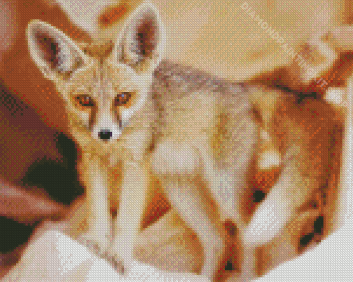 Fennec Fox Baby Diamond Paintings