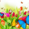 Flowers With Butterflies Insects Diamond Painting