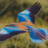 Flying Roller Bird Diamond Painting