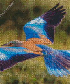 Flying Roller Bird Diamond Painting