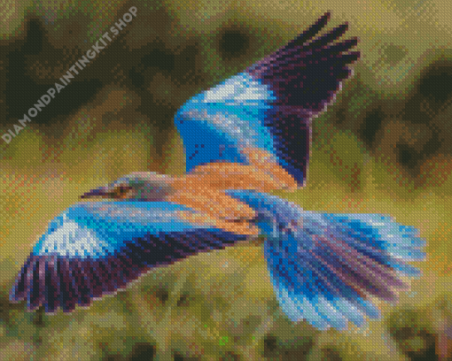 Flying Roller Bird Diamond Painting