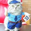 Grey Cute Cat In Police Clothing Diamond Painting