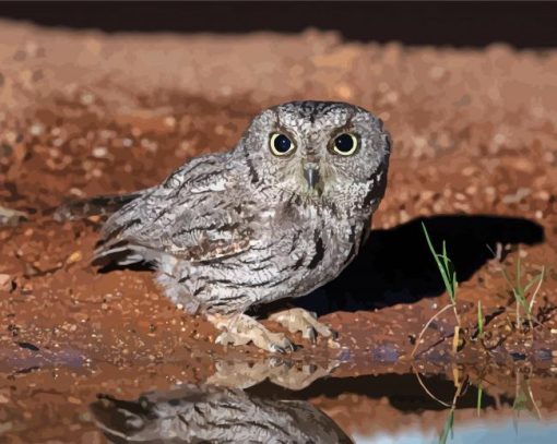 Grey Screech Owl Bird Diamond Paintings