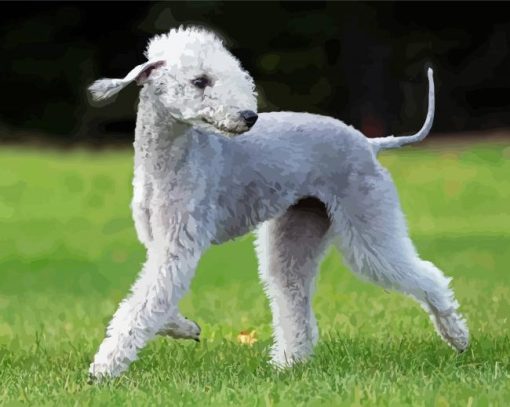 Happy Bedlington Terrier Diamond Paintings