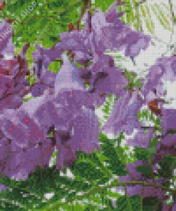 Jacaranda Blossoms Diamond Paintings