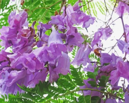 Jacaranda Blossoms Diamond Paintings