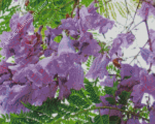 Jacaranda Blossoms Diamond Paintings