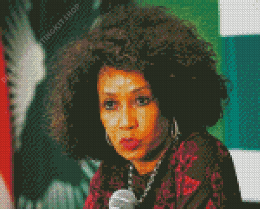 Minister Lindiwe Sisulu Diamond Paintings