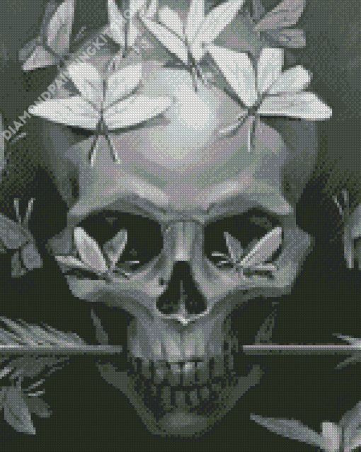 Monochrome Skull And Butterflies Diamond Paintings