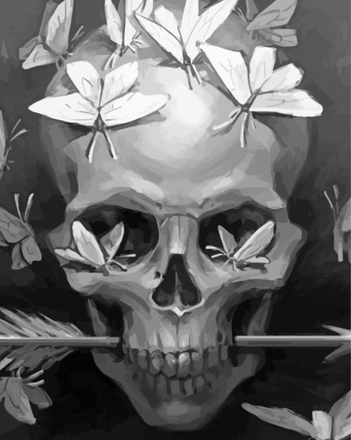 Monochrome Skull And Butterflies Diamond Paintings