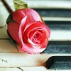 Old Piano With Pink Rose Diamond Paintings