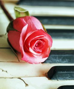 Old Piano With Pink Rose Diamond Paintings