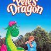 Petes Dragon Diamond Paintings