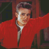 Rebel Without A Cause Diamond Paintings