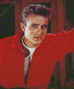 Rebel Without A Cause Diamond Paintings