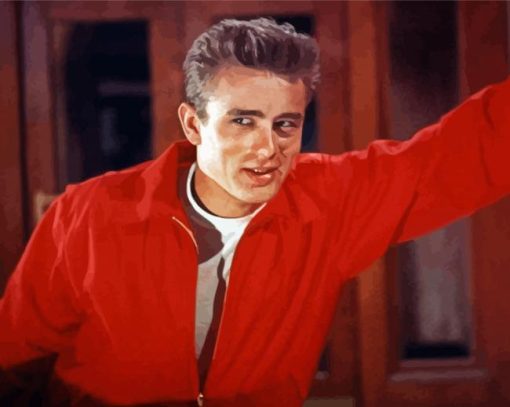 Rebel Without A Cause Diamond Paintings