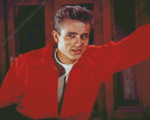 Rebel Without A Cause Diamond Paintings