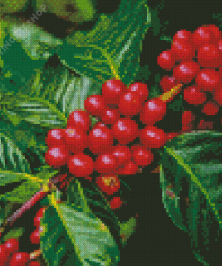 Red Coffee Plant Diamond Painting