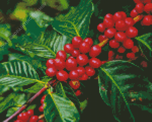 Red Coffee Plant Diamond Painting