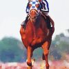 Secretariat Horse Racing Diamond Painting