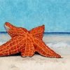 Starfish Stranded On The Beach Diamond Painting