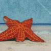 Starfish Stranded On The Beach Diamond Painting