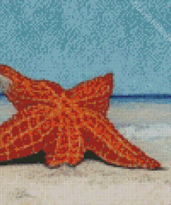 Starfish Stranded On The Beach Diamond Painting