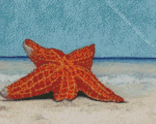 Starfish Stranded On The Beach Diamond Painting