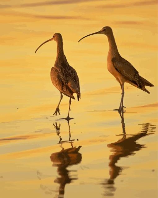 Strand Billed Birds Diamond Painting