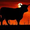 Sunset Cow Silhouette Diamond Painting