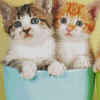 Two Kittens In Cup Diamond Painting