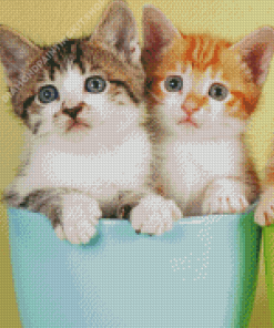 Two Kittens In Cup Diamond Painting