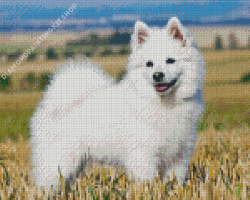 White Spitz Dog Diamond Painting