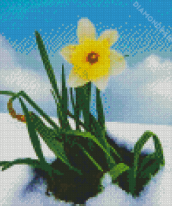 Yellow Spring Flower In Snow Diamond Painting