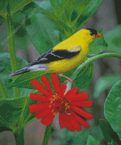 Yellow Finch On Red Flower Diamond Paintings