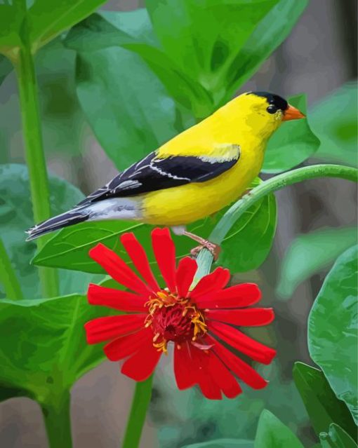 Yellow Finch On Red Flower Diamond Paintings