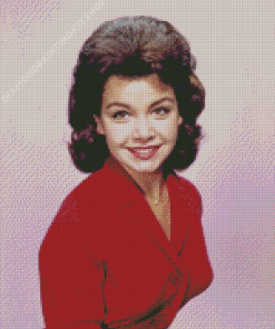 Annette Funicello Diamond Painting