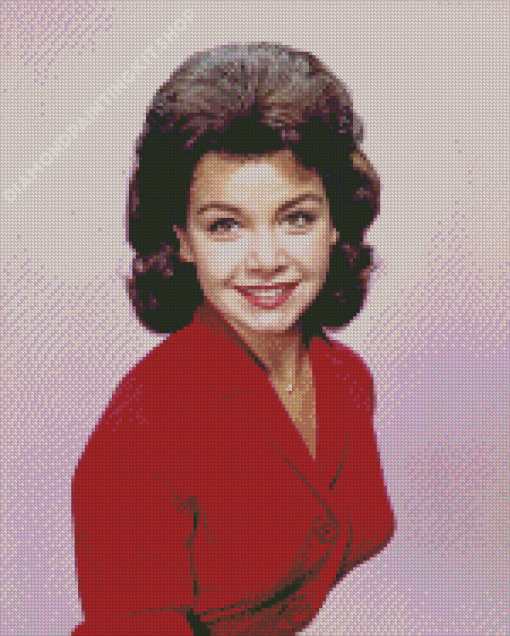 Annette Funicello Diamond Painting