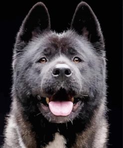 Black American Akita Diamond Painting