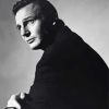 Black And White Liam Neeson Diamond Painting