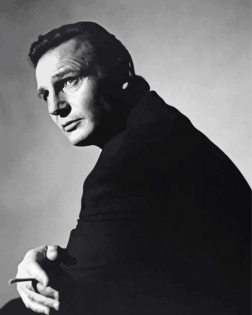 Black And White Liam Neeson Diamond Painting