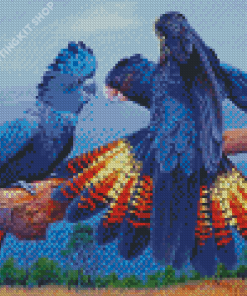 Black Cockatoos Birds Diamond Painting