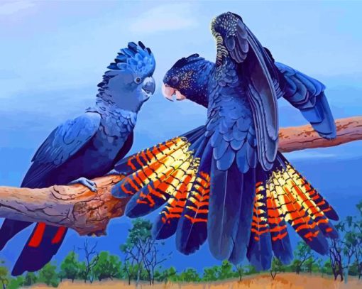 Black Cockatoos Birds Diamond Painting