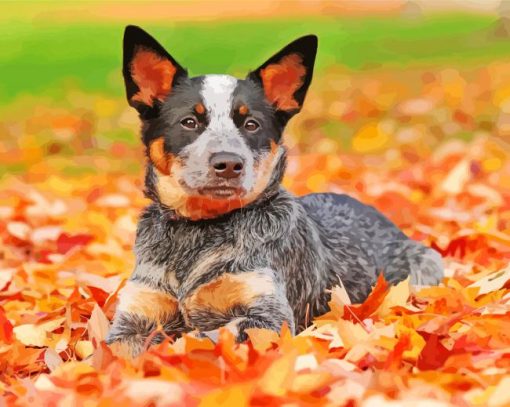 Blue Heeler Diamond Painting